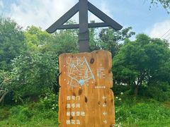 -广富林郊野公园