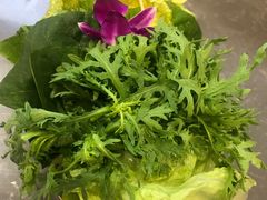 素菜拼盘-津门羊大爷铜锅涮肉(雅清街店)