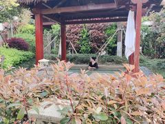 -嘉兴清池酒店温泉