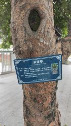 -纷尼探险鸭·亲子户外剧本杀(天河公园店)