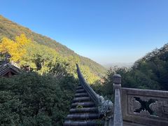 -韬光茶庵