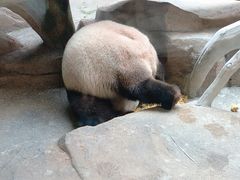 -宁波野生动物园