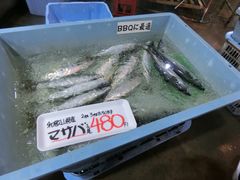 -海鮮寿司とれとれ市場