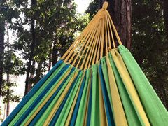 -铁山坪森林公园