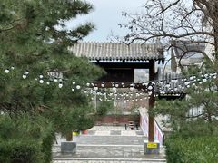 -阳台山自然风景区