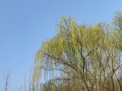 -西安世博园