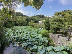 -鹤冈八幡宫