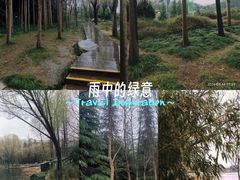 -郑州植物园