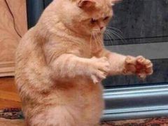 -爱畅享华为苹果手机维修服务(虹口龙之梦店)