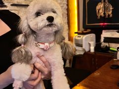 -木兰逸•泰式按摩•头疗•SPA(车公庙店)