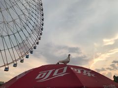 -南昌之星摩天轮