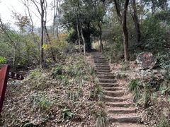 -青龙山国家森林公园