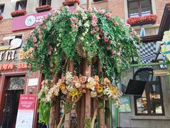 -巴伐利亚啤酒坊(意式风情街店)