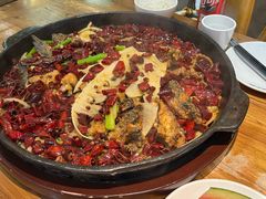 -老板恋上鱼(印象城店)