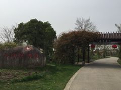 -鹅湖玫瑰文化园