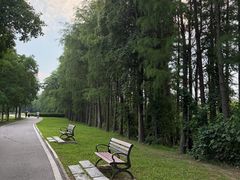 -金银湖国家城市湿地公园