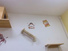 -三花喵·撸猫购宠·宠物生活馆(虹桥南丰城店)