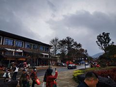 -长兴慧子土特产茶行