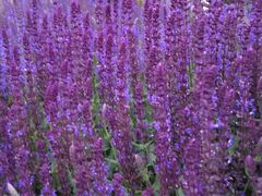 -北运河水利风景区