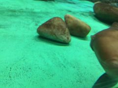 -常州海昌海洋探索馆