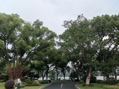 -浙江西子宾馆·瑶园咖啡厅