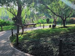 -圩墩遗址公园