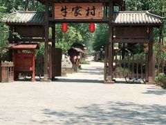 -合肥滨湖国家森林公园