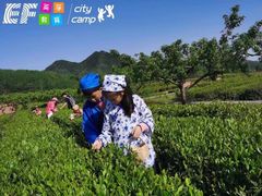-英孚教育青少儿(高新公园茂中心)