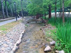 -白水寺森林公园