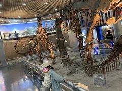 -国家自然博物馆