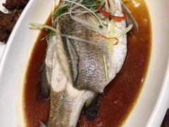 -天津津利华酒店