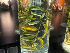 -广东中医药博物馆