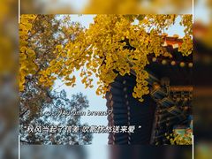 -颐和园