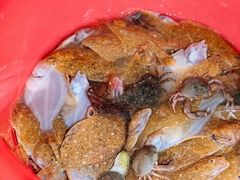 -日照大牌檔•小船海鲜(万平口店)