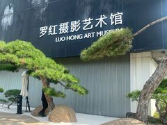 -罗红摄影艺术馆