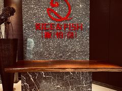 -饭怕鱼·黄焖鲟龙鱼(湖大店)
