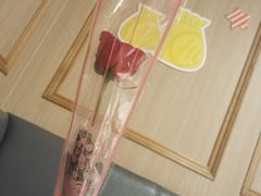 -海底捞火锅(番禺广场店)