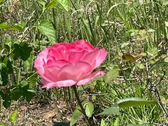 -安徽工业大学(秀山校区)