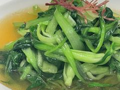 -圆苑(静安寺店)