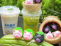 -茶救星球·蔬果茶(北京路旗舰店)
