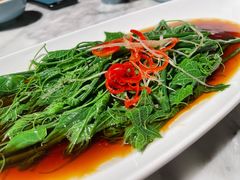 豌豆苗-懒人盐府人家(航天桥店)