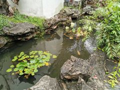-苏州冶园园林民宿(太湖西山风景区店)