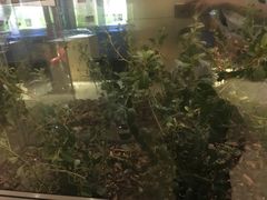 -上海昆虫博物馆