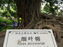 -晓港公园