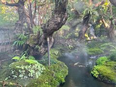 -Chom Cafe and Restaurant