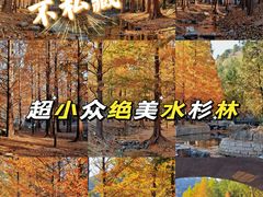 -白水寺森林公园