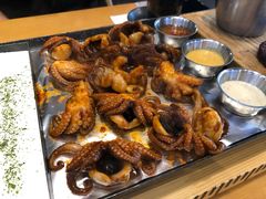 -DM CHICKEN 分米鸡