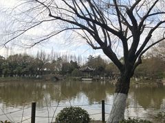 -瀛洲公园