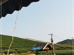 -龙坞茶村