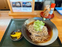 -白川乡手打荞麦面